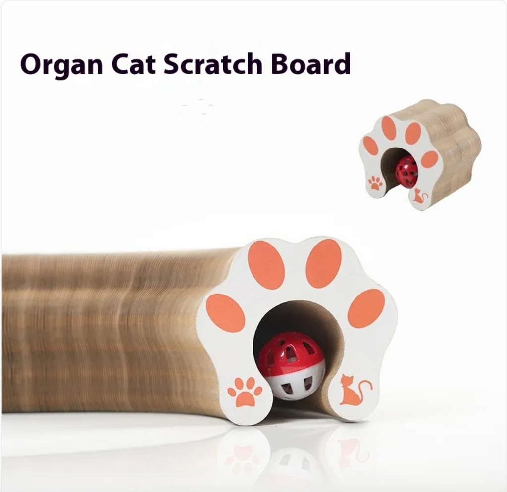 Magnetic Foldable Cat Scratching Board Toy
