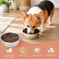 Suction Cup Slow Pet Feeder Bowl