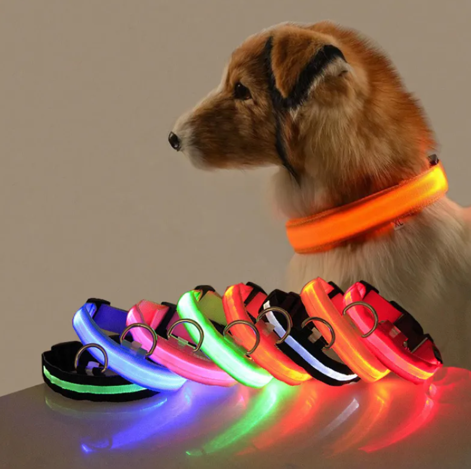Glow Paw LED Safety Collar