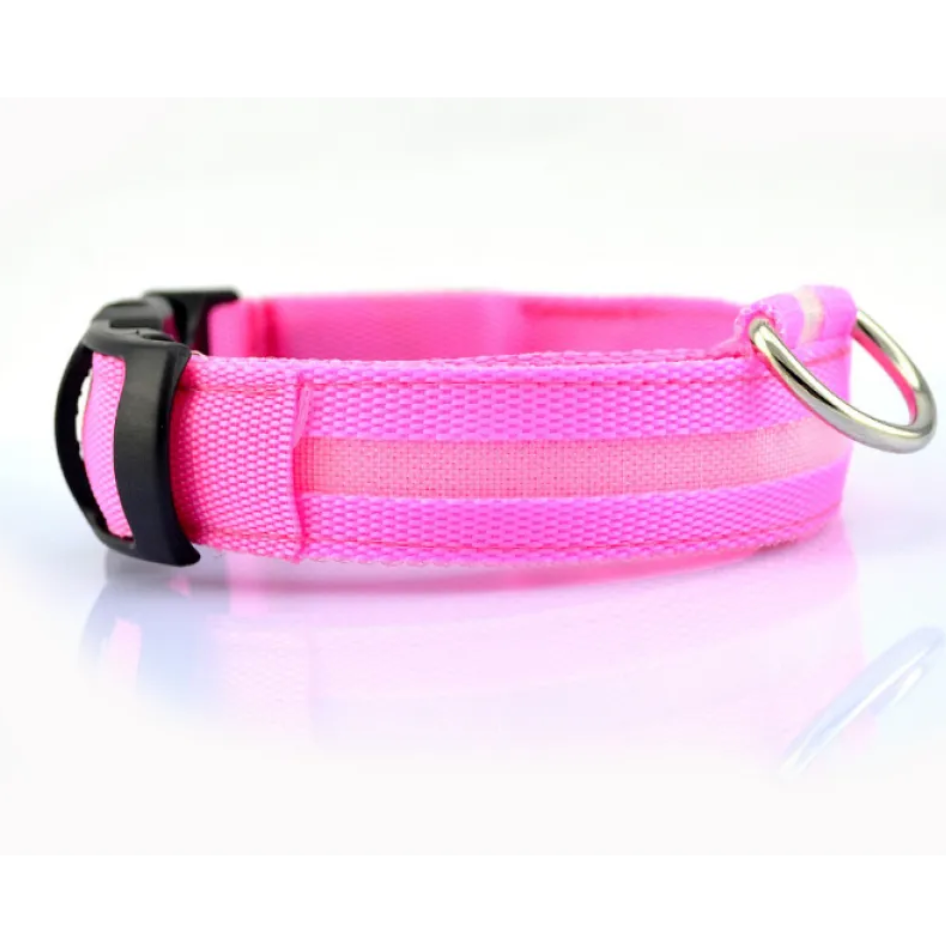 Glow Paw LED Safety Collar