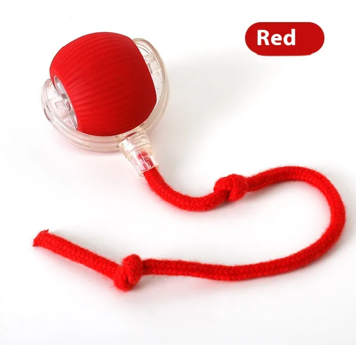 Interactive Fun Cat Toy Ball