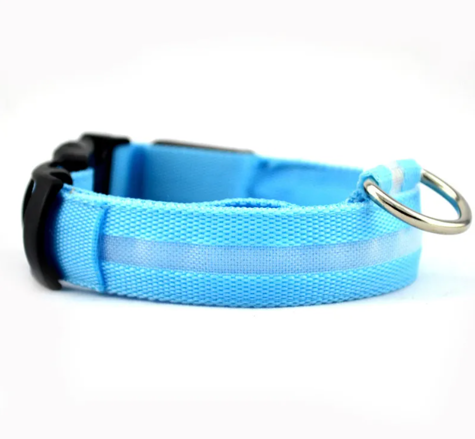 Glow Paw LED Safety Collar